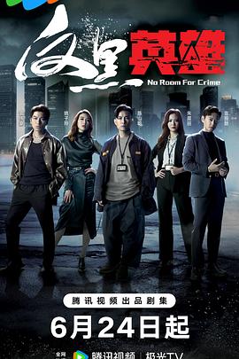 seo功能优化查询